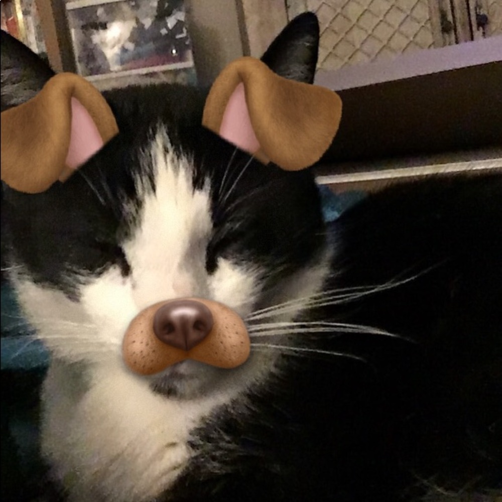 Meet your Posher, Jessica